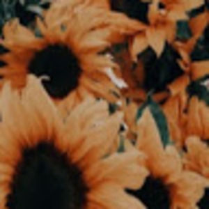 Meet your Posher, Miriam